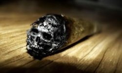 Какое действие оказывает курение на ваш организм